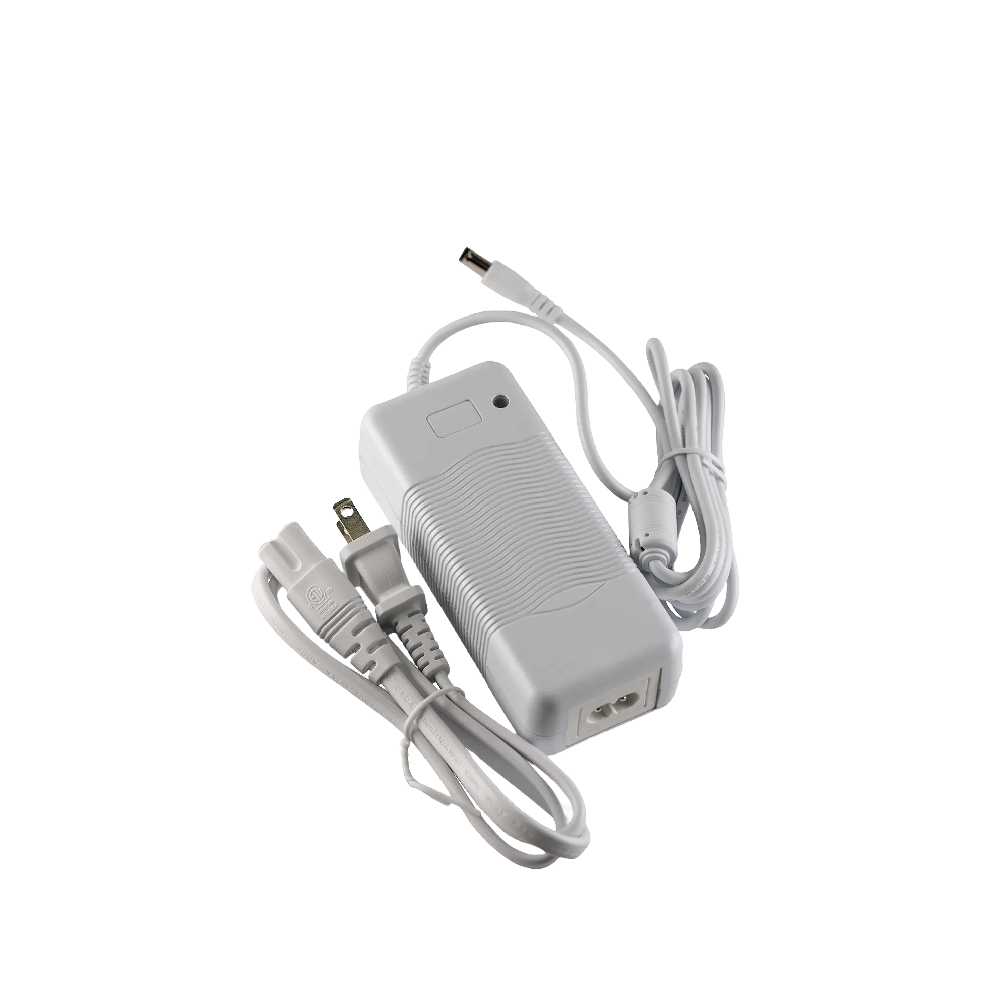 Beauty Ring Power Adapter