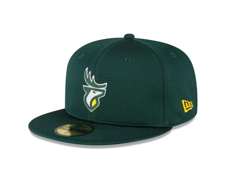 Edmonton Elks 5950 Green
